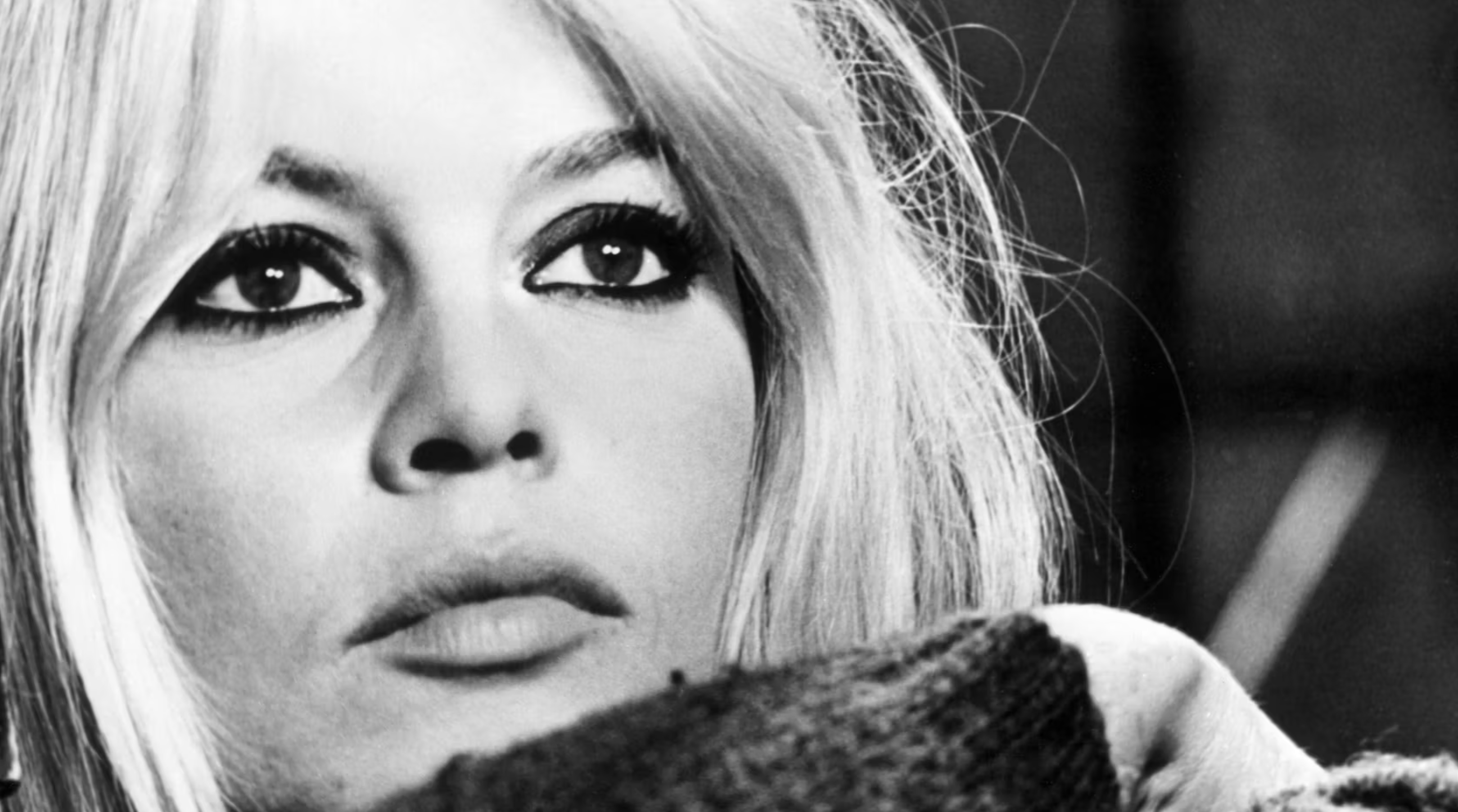 Brigitte Bardot im Krankenhaus: Sorge um den Gesundheitszustand der Ikone wächst